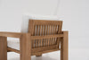 Modern Teak Lounge Chair Back view