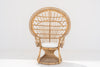 Peacock Chair