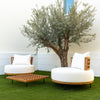 Solara Lounge Chair
