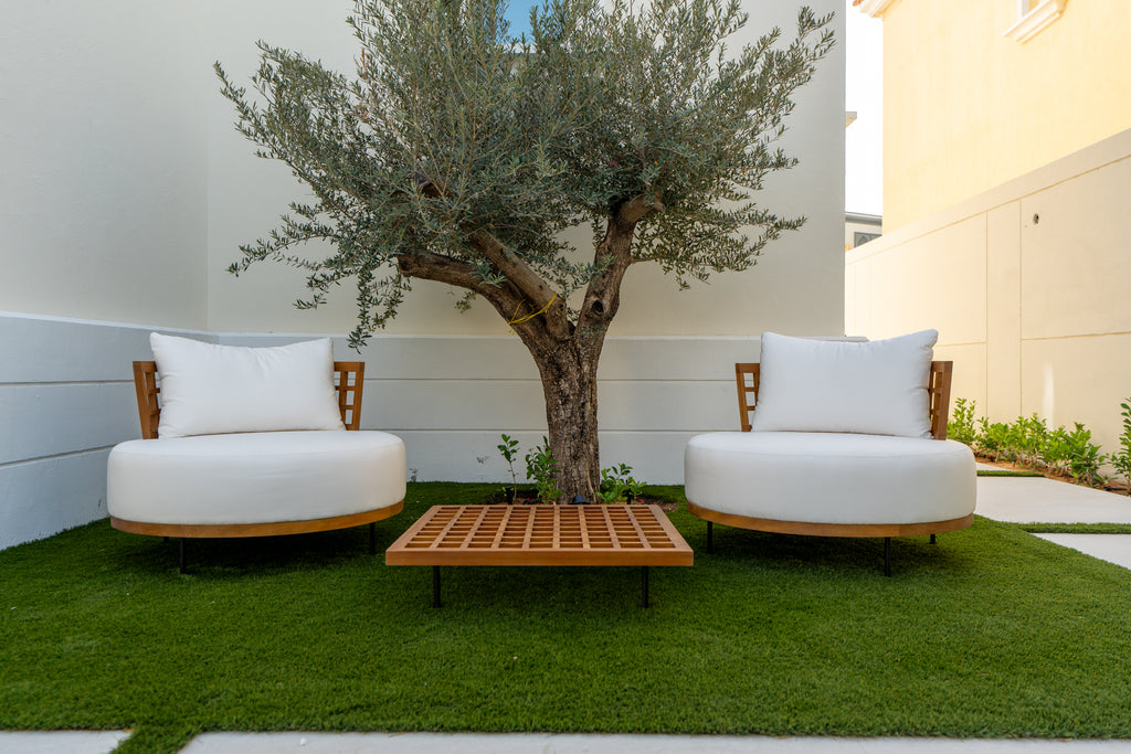 Solara Lounge Chair Customer Home