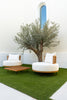 Solara Lounge Chair Customer Home