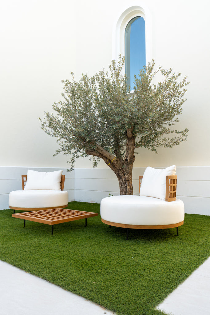 Solara Lounge Chair Customer Home