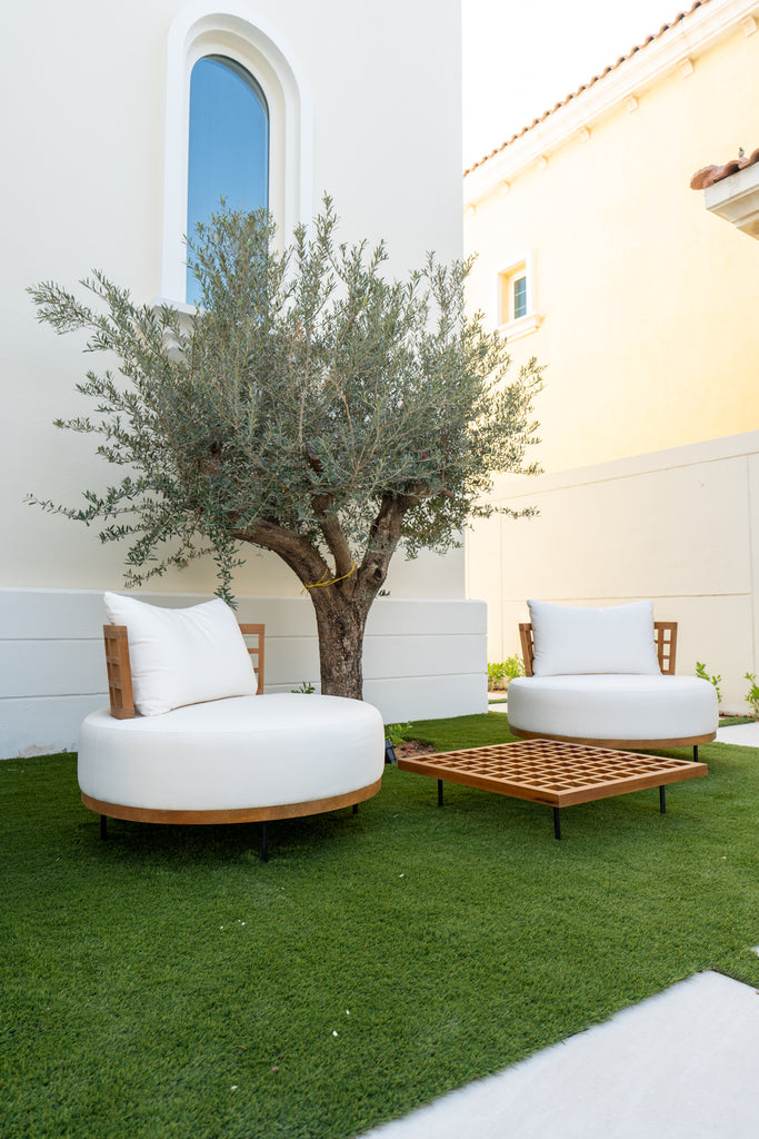 Solara Lounge Chair Customer Home
