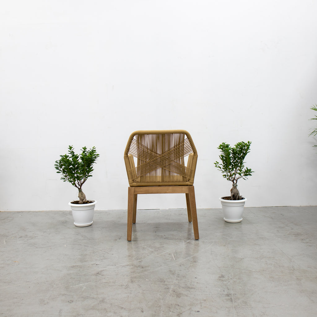 Teak & Rope Chair 2 Back view
