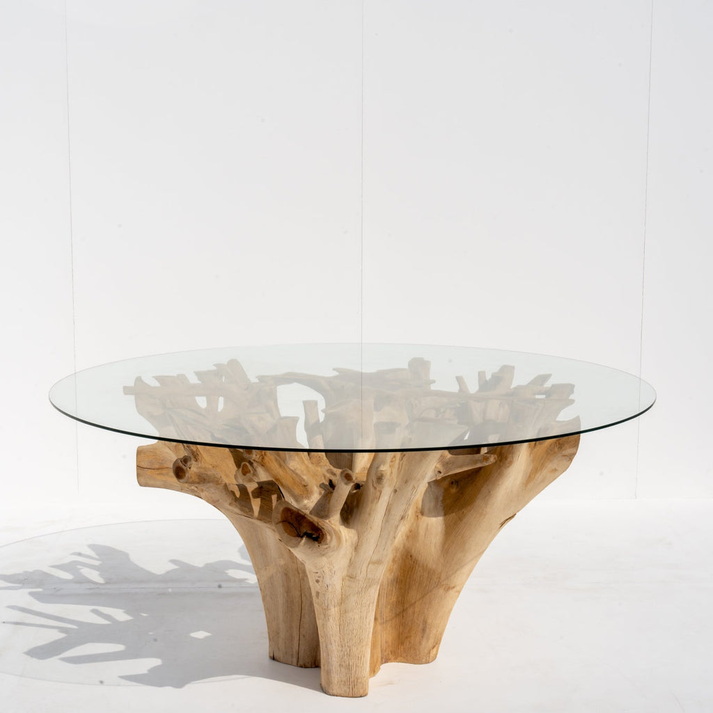 Terra Root Glass Dining Table Front View 1