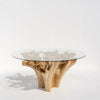 Terra Root Glass Dining Table Front View 2