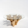 Terra Root Glass Dining Table Front View 3