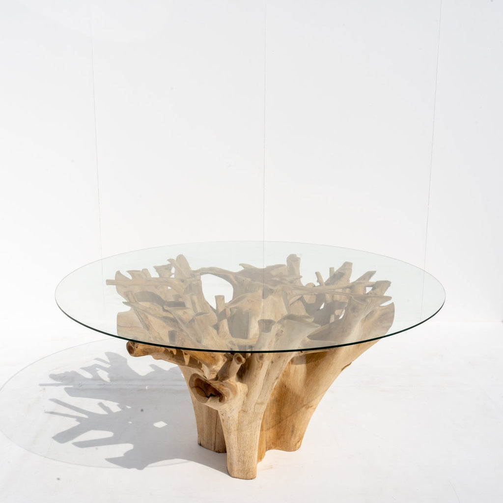 Terra Root Glass Dining Table Front View 3