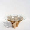 Terra Root Glass Dining Table Front View 4