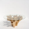 Terra Root Glass Dining Table Front View 5