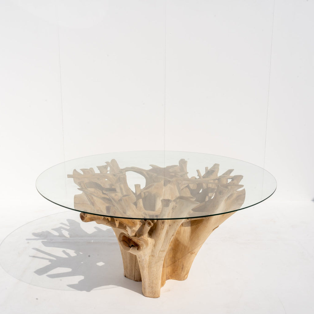 Terra Root Glass Dining Table Front View 5