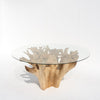 Terra Root Glass Dining Table Perspective View 1