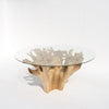 Terra Root Glass Dining Table Perspective View 2