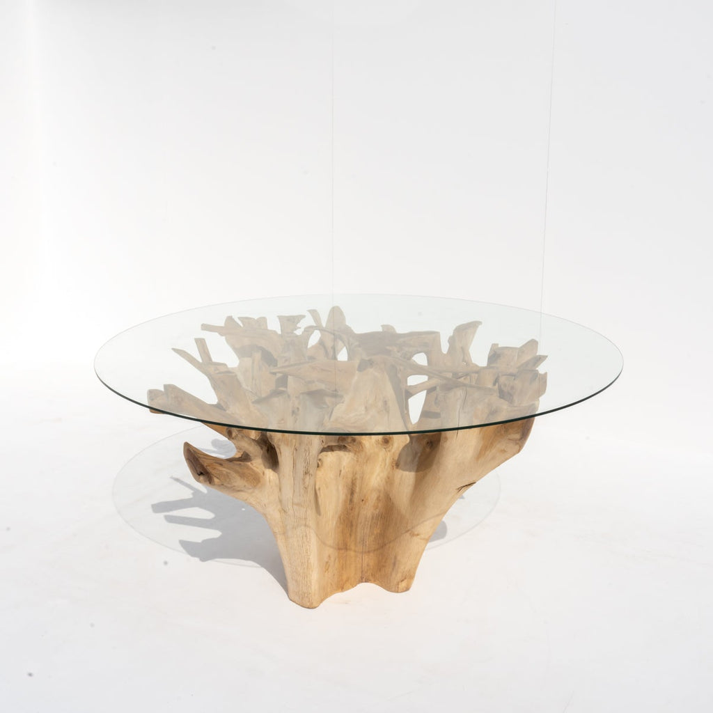 Terra Root Glass Dining Table Perspective View 2