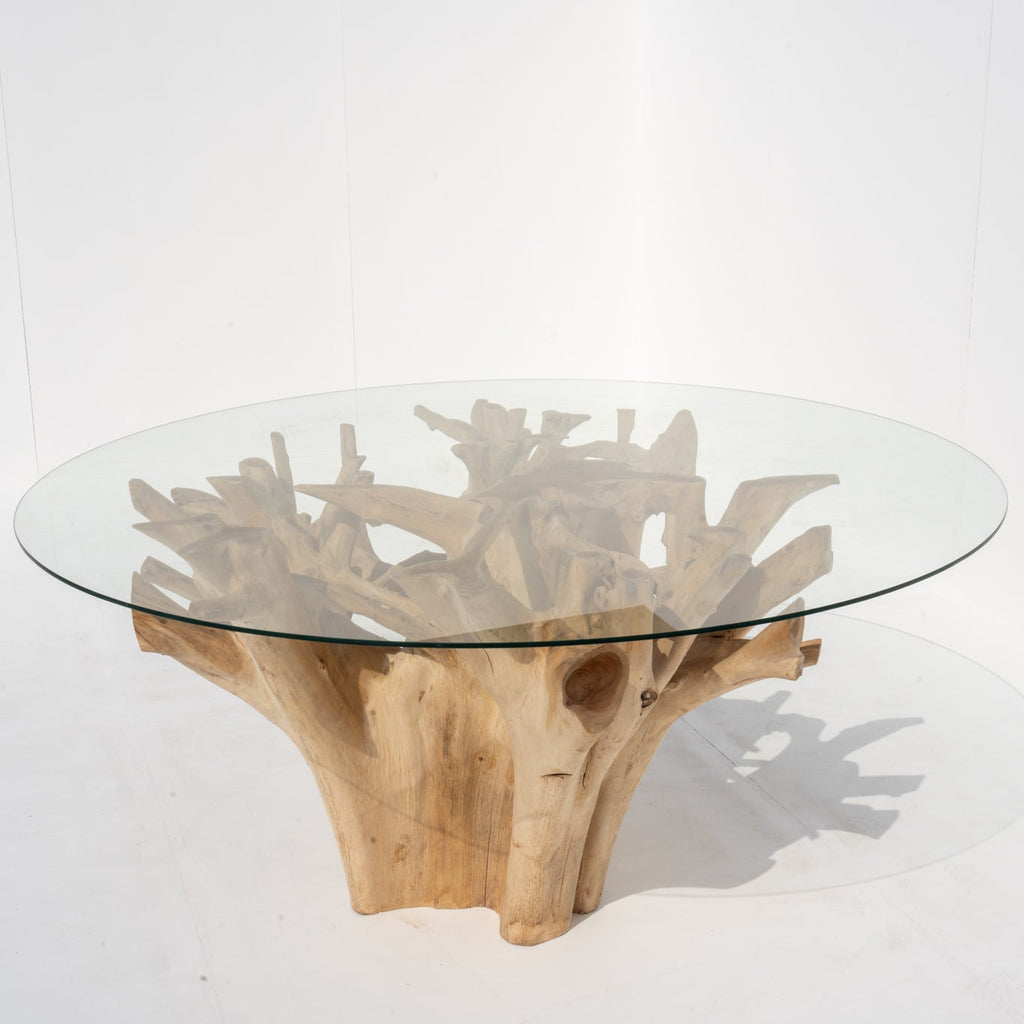 Terra Root Glass Dining Table Perspective View 3