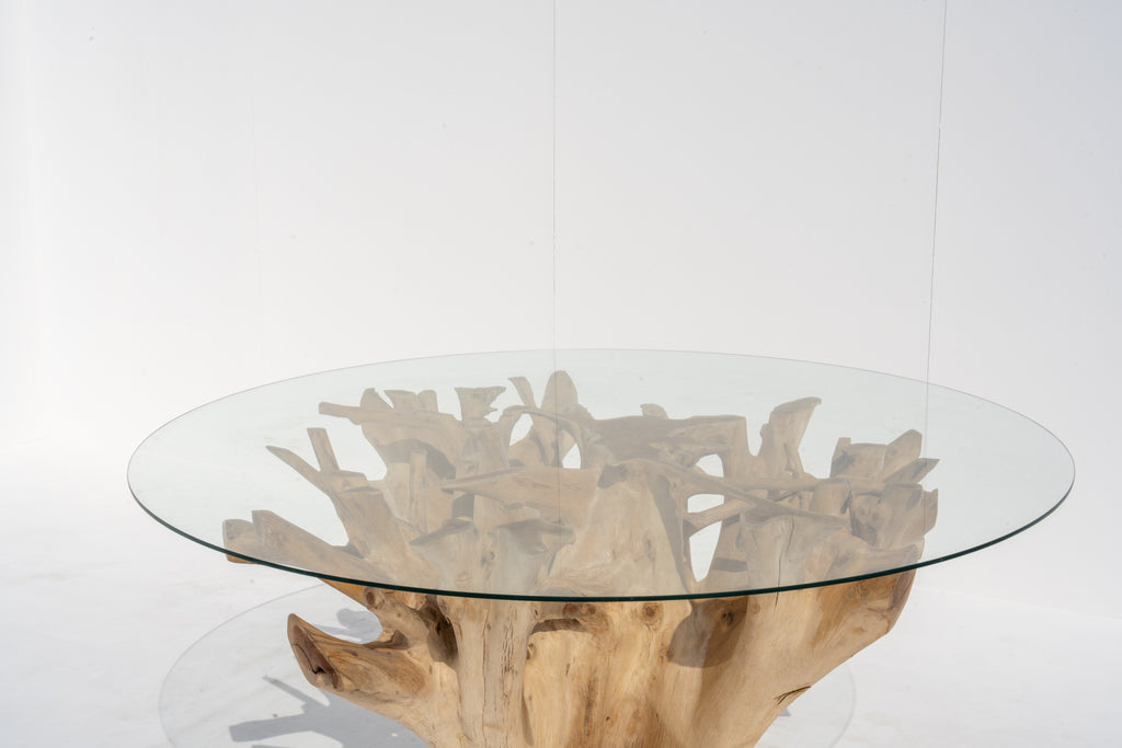 Terra Root Glass Dining Table Perspective View 5
