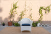 Trieste Rattan Chair Front view